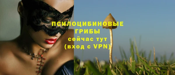 прущая мука Переславль-Залесский