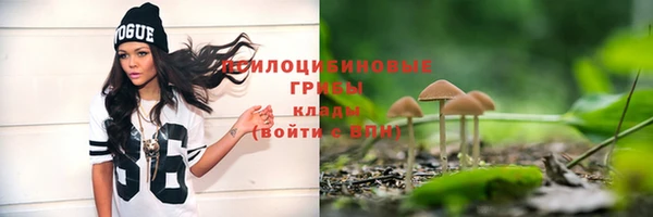 эйфоретик Пересвет