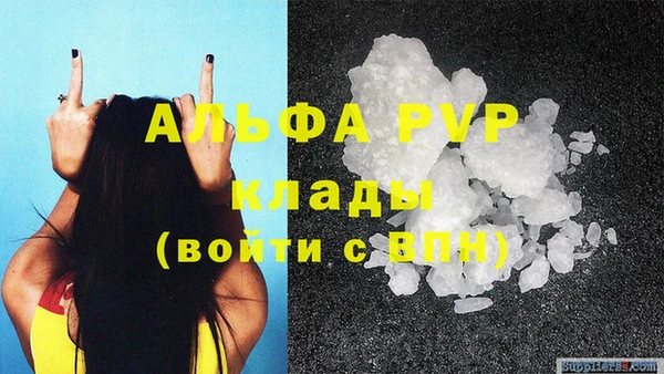 эйфоретик Пересвет